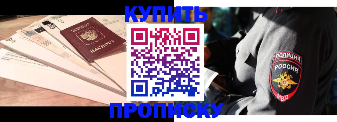 прописка поиск в Кингисеппе